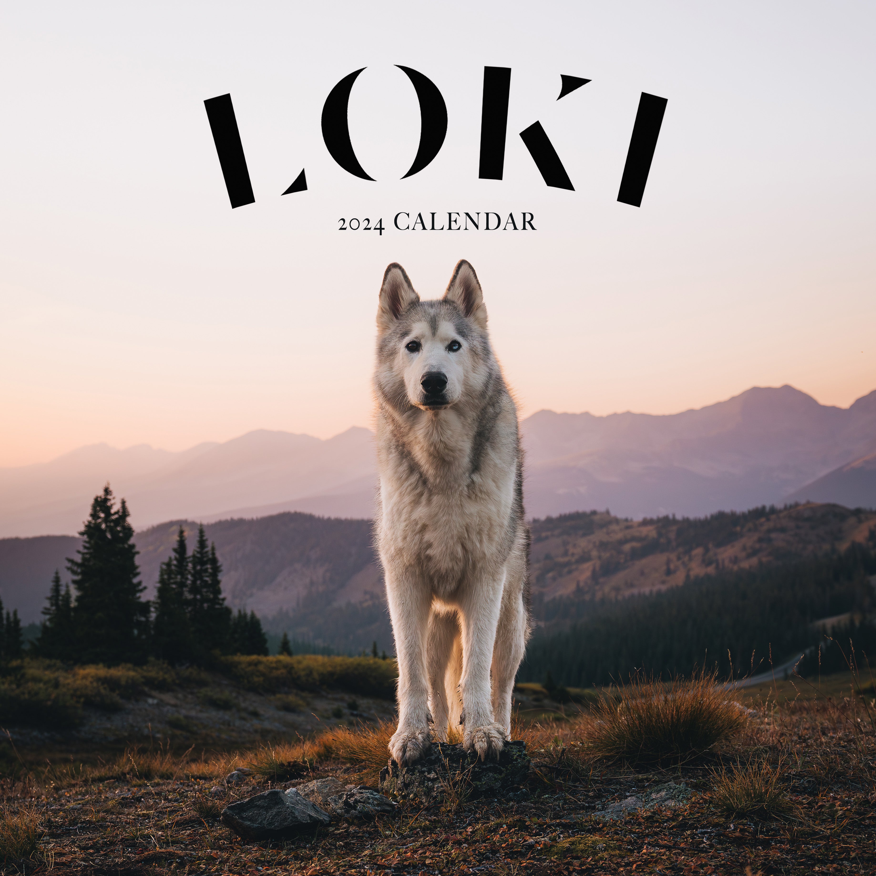 2024 Loki Calendar Loki The Wolfdog