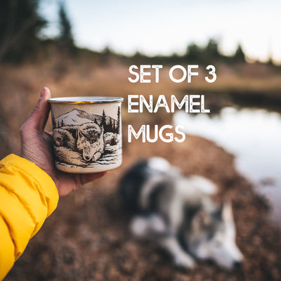 Enamel Mug Set (3)