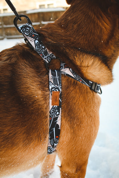 Black Feather Dog Harness