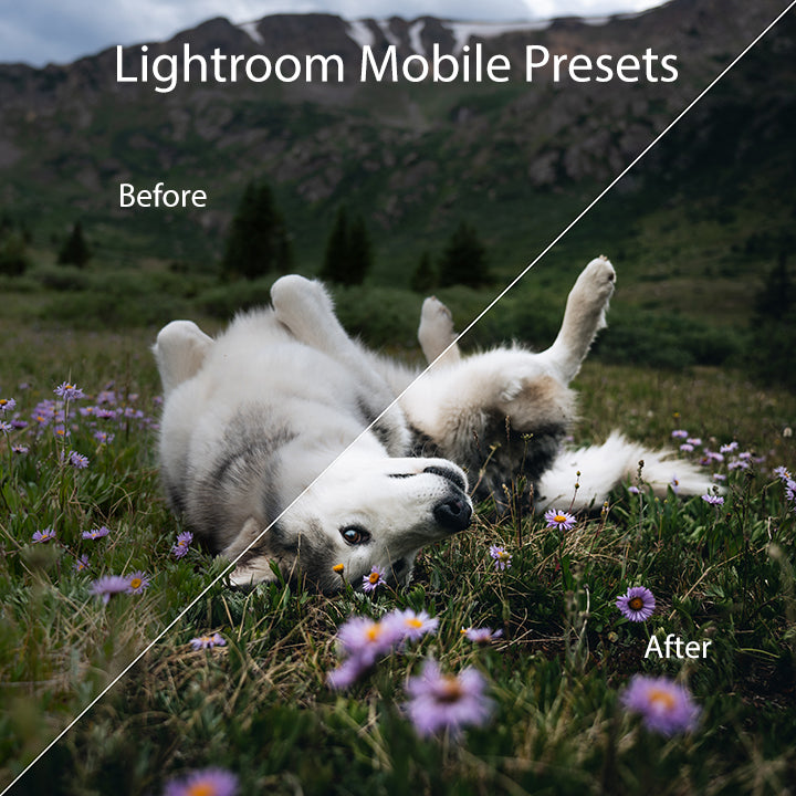 Lightroom Mobile Preset Pack – Wolves in the Wind